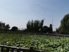 -渔岛海洋度假区