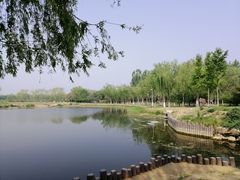 -大兴滨河森林公园