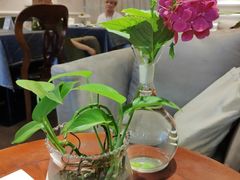 -燕庭·纯燕窝·甜品下午茶(日月光店)