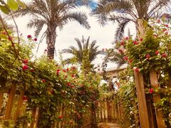 -三圣花乡旅游区