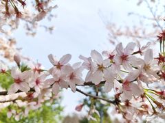 -上海辰山植物园