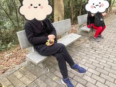 -滴水岩森林公园