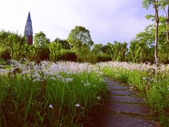 -华东政法大学(松江校区)