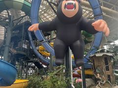 -杭州开元森泊度假乐园