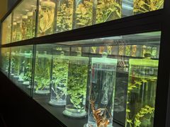-广东中医药博物馆