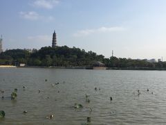 -顺峰山公园