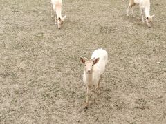 -祥源·阜阳生态乐园