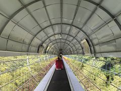 -南武当山景区