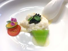 鱼子酱鸡淖-松云泽