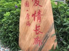 -万达广场(东莞厚街店)