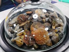 -睿柏云酒店-餐厅