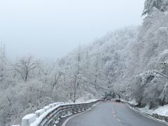-少华山国家森林公园