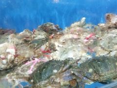 -蓝珊甄选海鲜自助·火锅大排档(近阿那亚店)