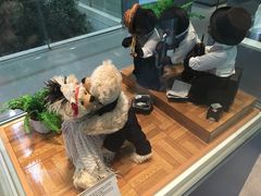 -济州岛泰迪熊博物馆