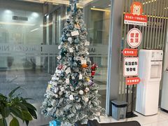 -马泷齿科·皓康门诊(尚都SOHO店)