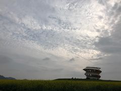 -光明小镇欢乐田园
