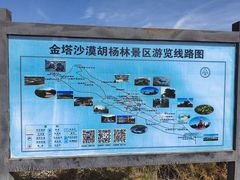 -金塔沙漠胡杨林景区