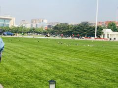 -大连人民广场