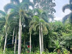 -金山植物公园