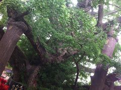 -浮来山风景区