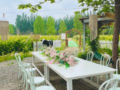 -安德鲁户外烧烤帐篷营地(马泉营店)