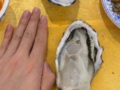 至尊桑拿蚝-天宝食坊·啫啫煲大排档(西华路店)