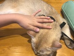 -凯德广场(武胜路店)