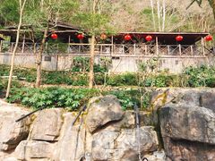-宁海森林温泉