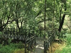 -广州市石门国家森林公园