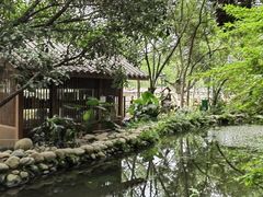 -成都市活水公园