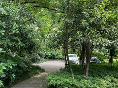 -杭州半山国家森林公园