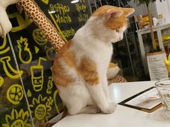 -五进制 Coffee Shop