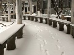 -陕西师范大学(雁塔校区)