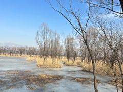 -野鸭湖国家湿地公园