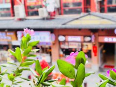 -虾小龙老长沙龙虾馆(坡子街店)