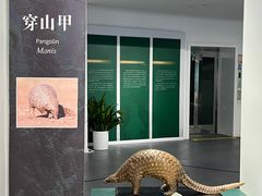 -中国湿地博物馆