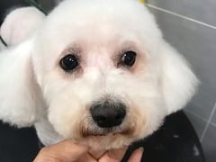 -宠福鑫康馨动物医院·骨科·眼科