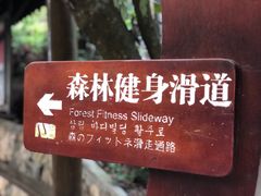 -楠溪江风景名胜区