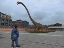 -恐龙探索乐园(磁器口店)