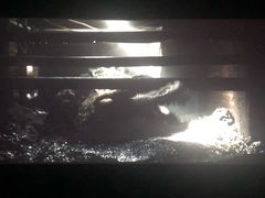 -新影联鸿泰影城