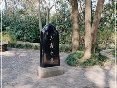 -上海佘山国家森林公园天马山园