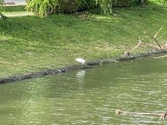 -BABANA烧烤·龙虾·海鲜