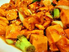 -丁老爷子苏香圆