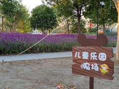 -上海山野camping·户外天幕烧烤·团建拓展营地