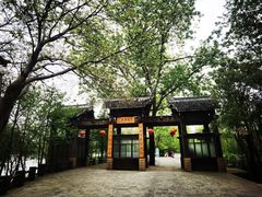 -溱湖国家湿地公园