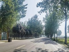 -汉长安城未央宫国家考古遗址公园