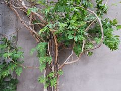 -草场地艺术区