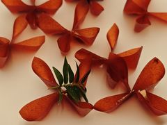 -宴周康·精致江浙菜(周浦店)