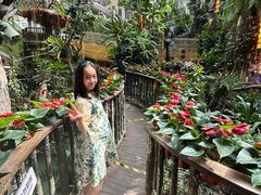-正佳雨林生态植物园