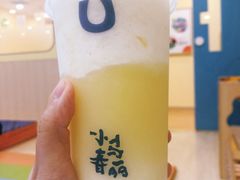 -春丽小马(济南恒隆广场店)